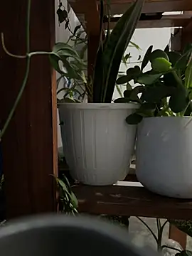 Snapshot of alburt_1996 chatting on 12-30-24, 03:13 alburt 1996 online show from 12-30-24, 03:13