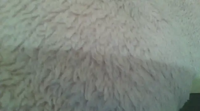 samanta0033 online show from 12-02-24, 09:17