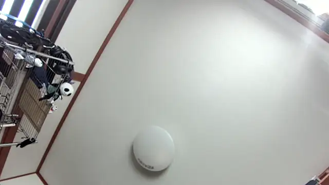 tuki fu online show from 12-08-24, 03:10