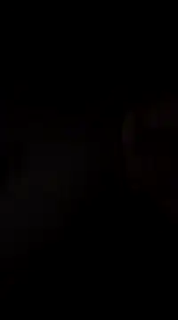 hoot denis28 online show from 12-07-24, 11:23