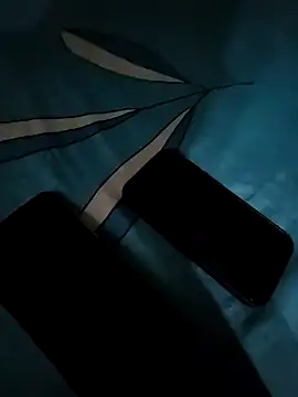 chocolate boy99 online show from 12-20-24, 09:43