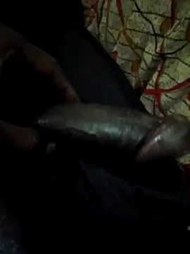 Snapshot of Antor1234 chatting on 01-22-25, 05:59 Antor1234 online show from 01-22-25, 05:59