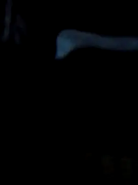 Snapshot of Antor1234 chatting on 02-23-25, 05:07 Antor1234 online show from 02-23-25, 05:07