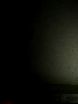 Leocesar37 online show from 11-19-25, 04:29