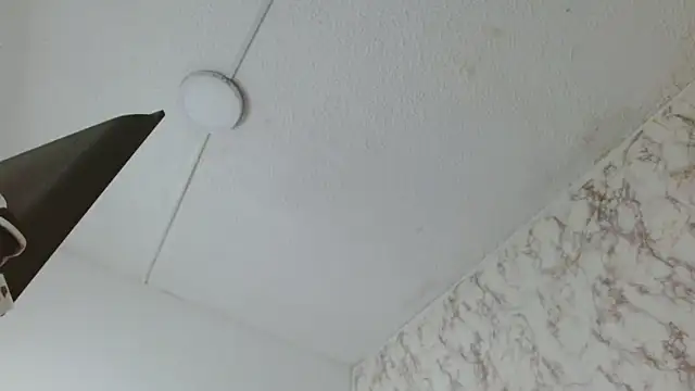 AlexaFontana online show from 02-14-26, 08:00