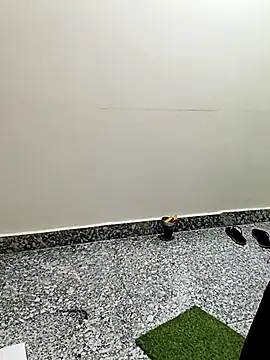 Snapshot of Saroj-Shah chatting on 02-03-26, 03:15 Saroj-Shah online show from 02-03-26, 03:15