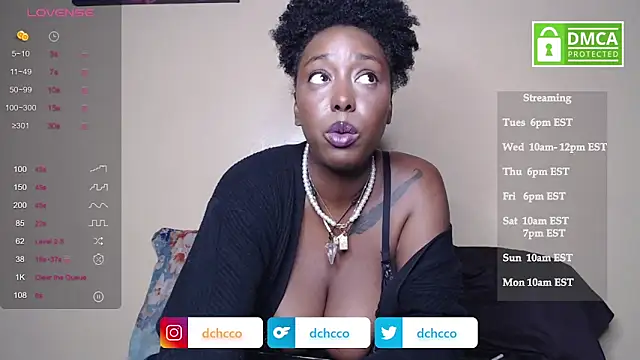 dchcco online show from 11-04-25, 11:48