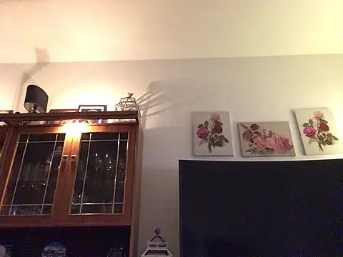 Hannaforyou2 online show from 12-28-24, 01:59