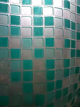 Snapshot of manueladantass1 chatting on 12-15-24, 05:53 manueladantass1 online show from 12-15-24, 05:53