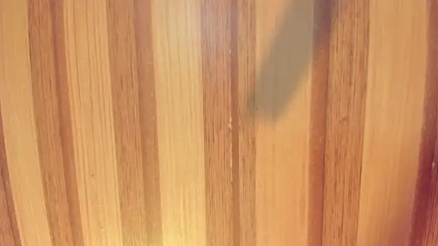 Taylor  cooper online show from 12-01-25, 06:24