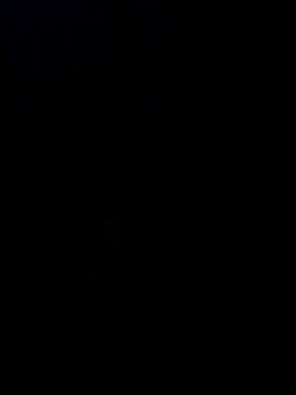 Desi SexyCoupleF online show from 12-02-25, 04:57