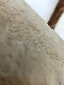 Snapshot of mjnas chatting on 12-04-24, 08:12 mjnas online show from 12-04-24, 08:12