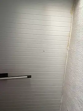 luara1988 online show from 11-12-25, 12:27