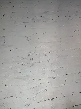 Y4NcA online show from 09-28-25, 10:37