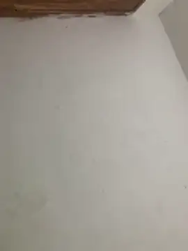 Snapshot of menorbnx chatting on 11-09-25, 06:33 menorbnx online show from 11-09-25, 06:33