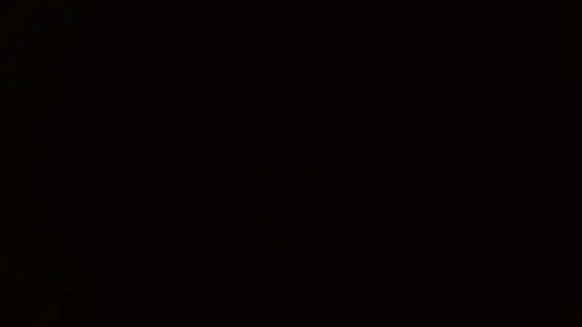 Snapshot of _______the chatting on 12-14-25, 08:24 the online show from 12-14-25, 08:24