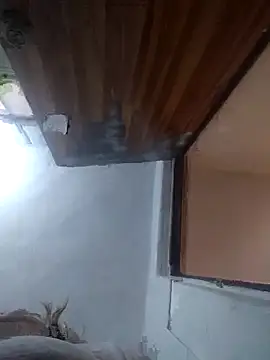 iDogrose21 online show from 12-15-25, 03:38