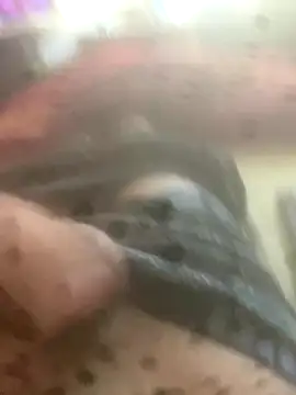 solomec online show from 10-12-25, 07:51