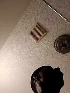 willywonka7793 online show from 03-03-25, 04:56