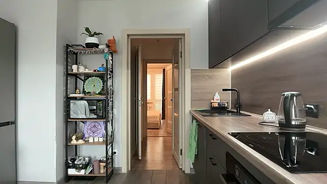 jainesummer online show from 11-11-25, 07:52