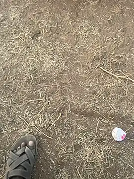 tamil000000 online show from 03-10-25, 12:48