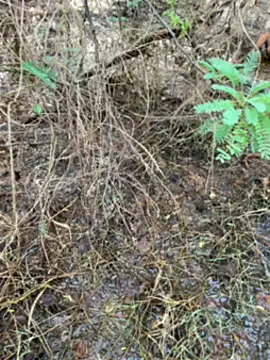 tamil000000 online show from 03-14-25, 01:27