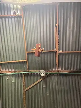 ElNegroRony online show from 04-02-26, 04:04