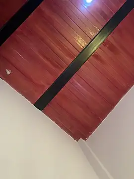 Snapshot of Cassie-millers chatting on 12-20-24, 03:00 Cassie-millers online show from 12-20-24, 03:00