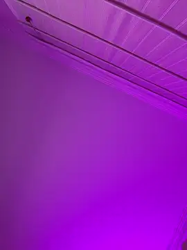 aurora divine online show from 02-15-26, 01:09