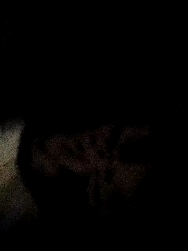 ruhi2003 online show from 12-03-24, 11:33