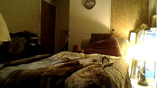 Jay81 online show from 12-18-24, 09:04