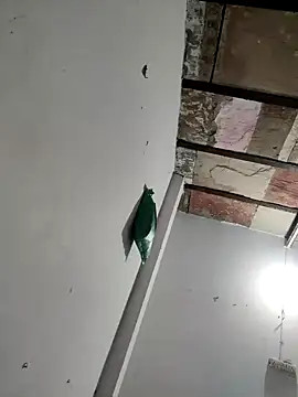 Snapshot of Masti441 chatting on 02-11-25, 10:26 Masti441 online show from 02-11-25, 10:26