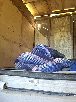 Carlosfkf online show from 04-04-26, 11:13