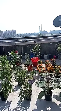Sneha gril online show from 02-08-25, 07:37
