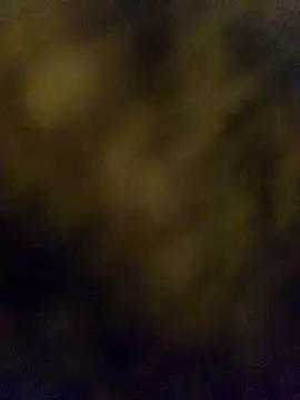 LSD321xh online show from 10-05-25, 05:55