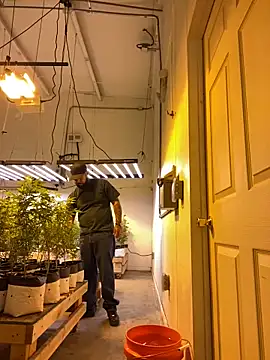 jr91esl online show from 03-02-25, 05:14