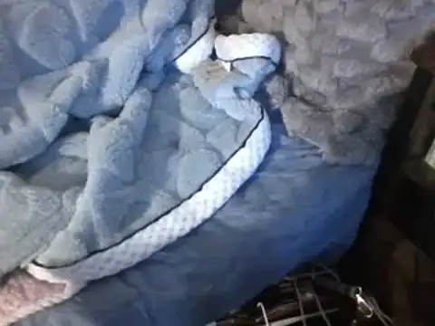 Snapshot of housewife_shantie chatting on 03-07-25, 06:54 housewife shantie online show from 03-07-25, 06:54