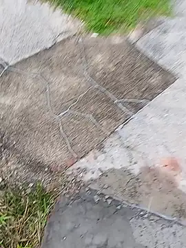 homenbuscalacto online show from 01-16-26, 08:51