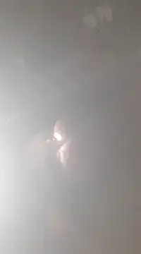 bandi-big-dick online show from 01-07-25, 01:57