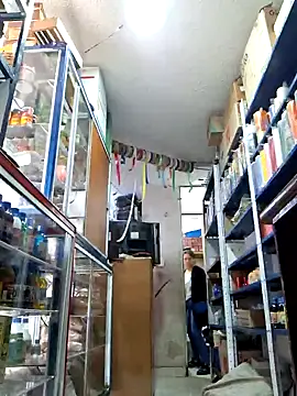 nidia2026 online show from 01-28-25, 03:57