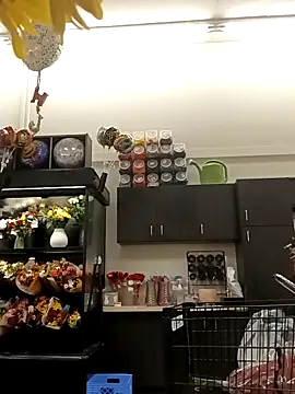 kobrashekyng online show from 10-20-25, 02:39