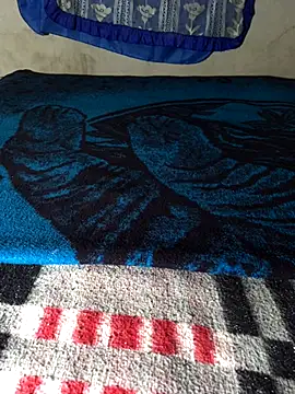 Snapshot of manuamador chatting on 11-13-25, 04:55 manuamador online show from 11-13-25, 04:55