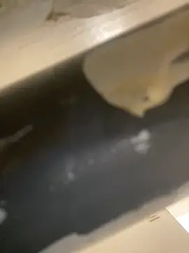 Snapshot of Mme_Milahotspicy chatting on 10-19-25, 07:03 Mme Milahotspicy online show from 10-19-25, 07:03