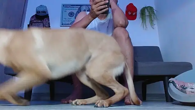 Snapshot of boss_of_cash chatting on 04-02-26, 08:28 boss of cash online show from 04-02-26, 08:28