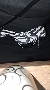 HappyZebra13 online show from 01-12-25, 01:42