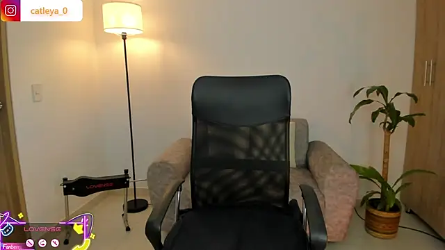 catleya 0 online show from 02-15-26, 03:03