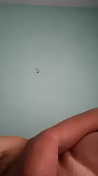 alexjs84 online show from 12-16-24, 11:12