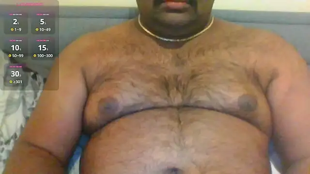 indianbearbot online show from 01-29-25, 08:35