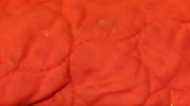 Huntzg23 online show from 11-28-25, 07:44