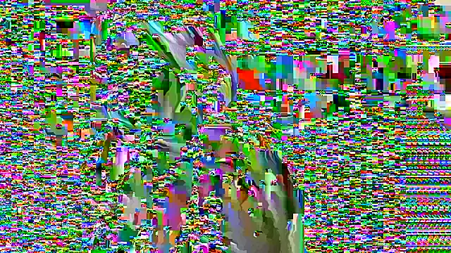 YumiYammy online show from 11-13-25, 11:42